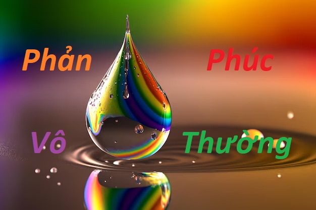 Phản Phúc Vô Thường.jpg