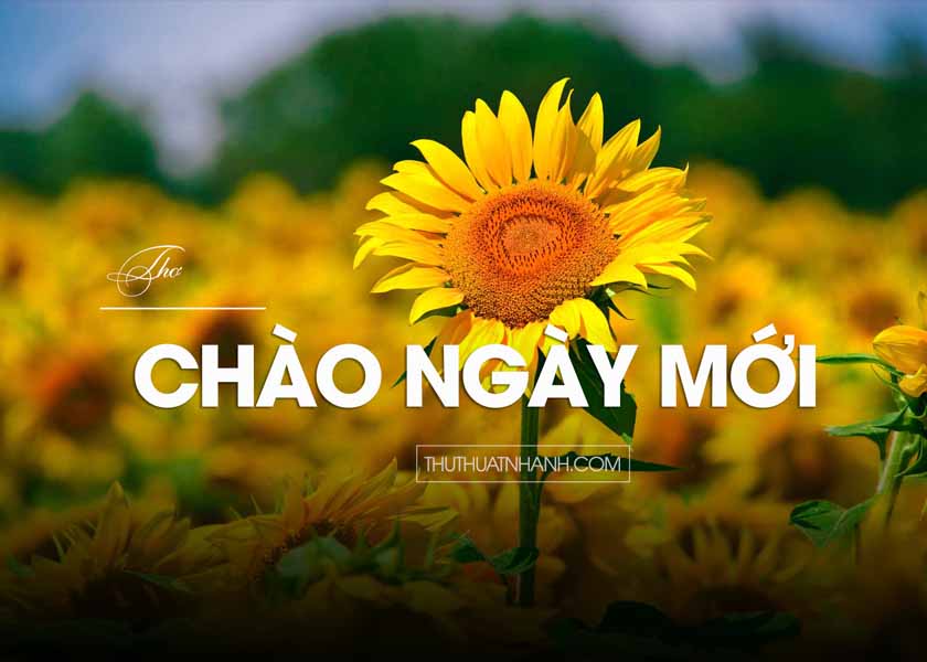 tho-chao-ngay-moi.jpg