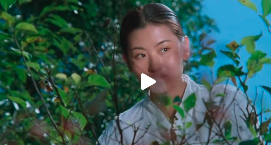 Screenshot from 2025-02-28 22-30-17.png