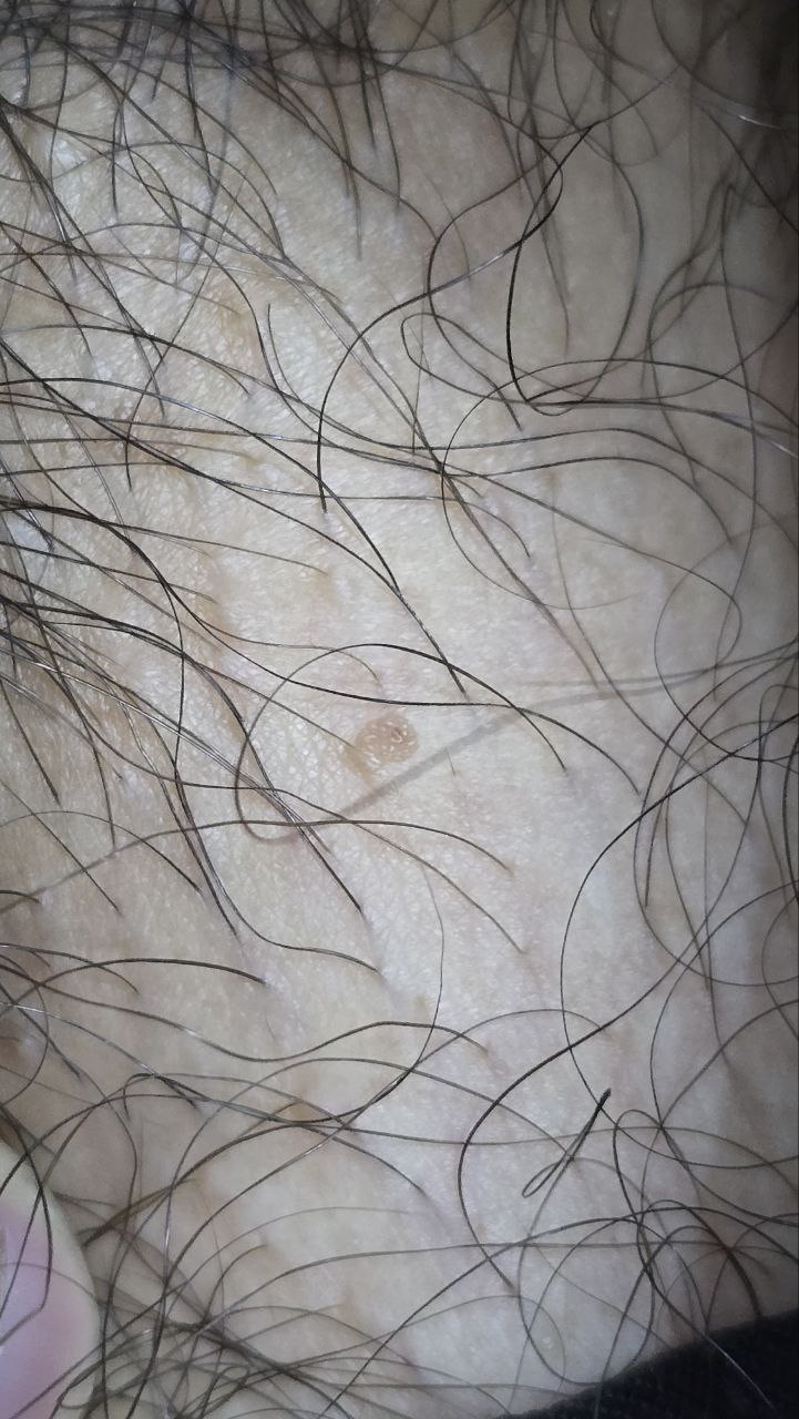 photo_2025-06-16_10-10-36 (2).jpg