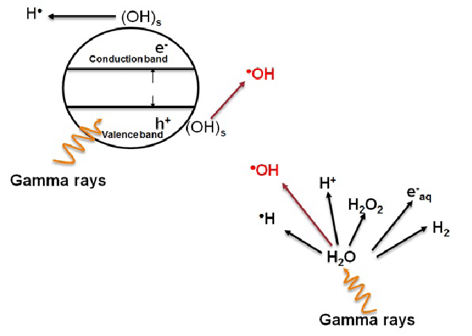 Effect-of-gamma-radiation-on-water-suspended-particles-and-radical-formation.png