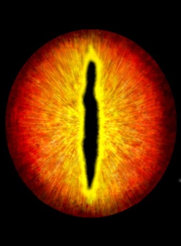 Dragon Eyes - Yellow & Red.jpg