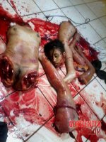 Young-woman-dismembered-by-Mexican-cartel.jpg