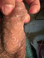 IMG_3497.jpeg IMG_3497.jpeg