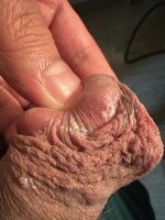 IMG_3498.jpeg IMG_3498.jpeg