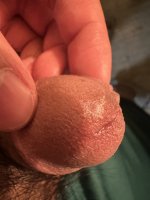 IMG_3499.jpeg IMG_3499.jpeg