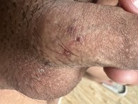 IMG_3508.jpeg IMG_3508.jpeg