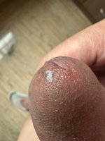 IMG_3513.jpeg IMG_3513.jpeg