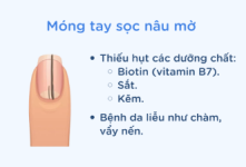 nâu mờ.PNG