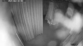 20250416232109239_IPKênh 06_E17285293.jpg