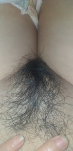 4498FBC8-64A3-4ADE-AF0B-68F2D83079E4 (2).jpeg