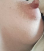 IMG_20250724_124833.jpg IMG_20250724_124833.jpg