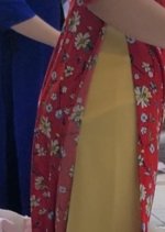 Screenshot_20250321_114749_Video Player.jpg