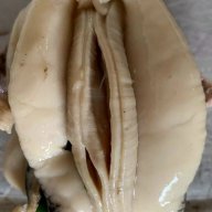 Vào tk tao làm đéo gì