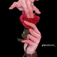 Nể Mỗi Hồng Trần