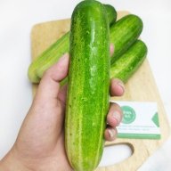 concumber77