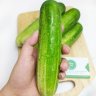 concumber77